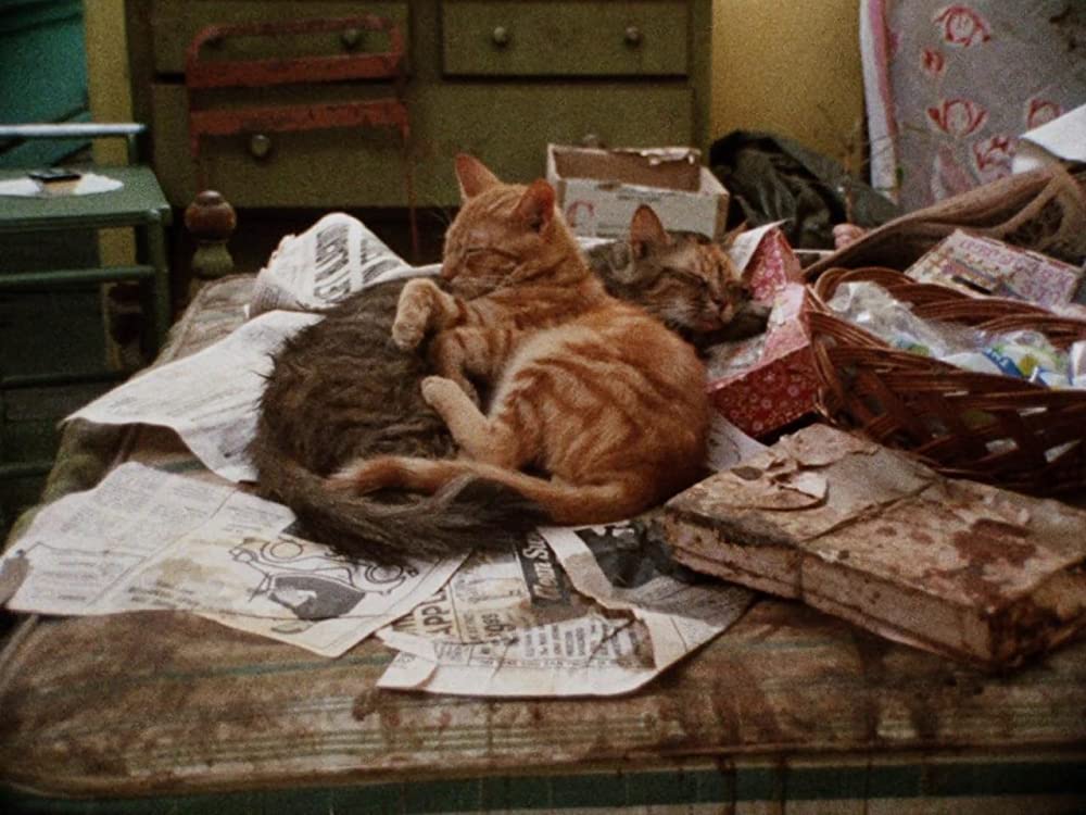 グレイ・ガーデンズの画像