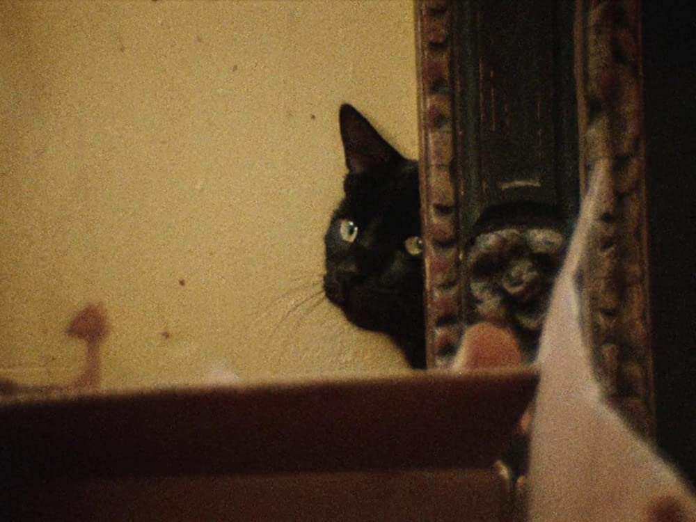 グレイ・ガーデンズの画像