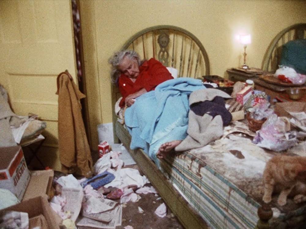 グレイ・ガーデンズの画像