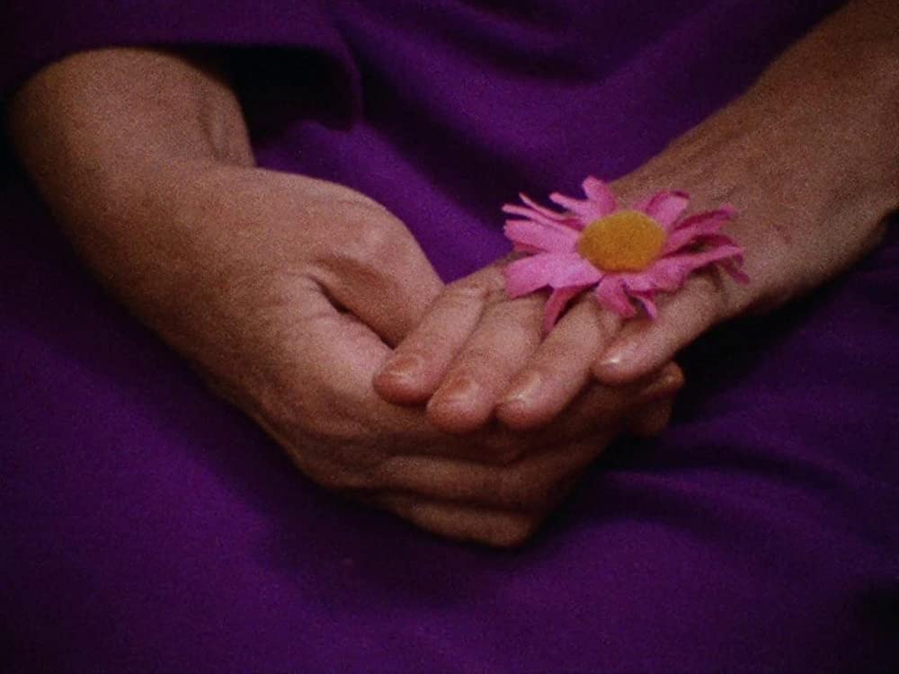 グレイ・ガーデンズの画像