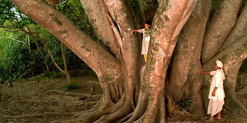 リトル・ブッダの画像