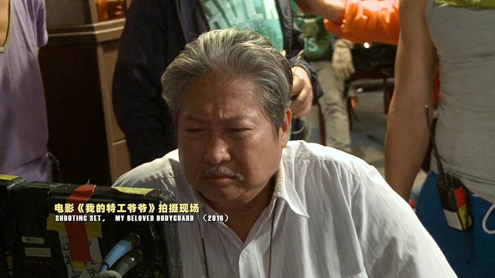 カンフースタントマン 龍虎武師の画像