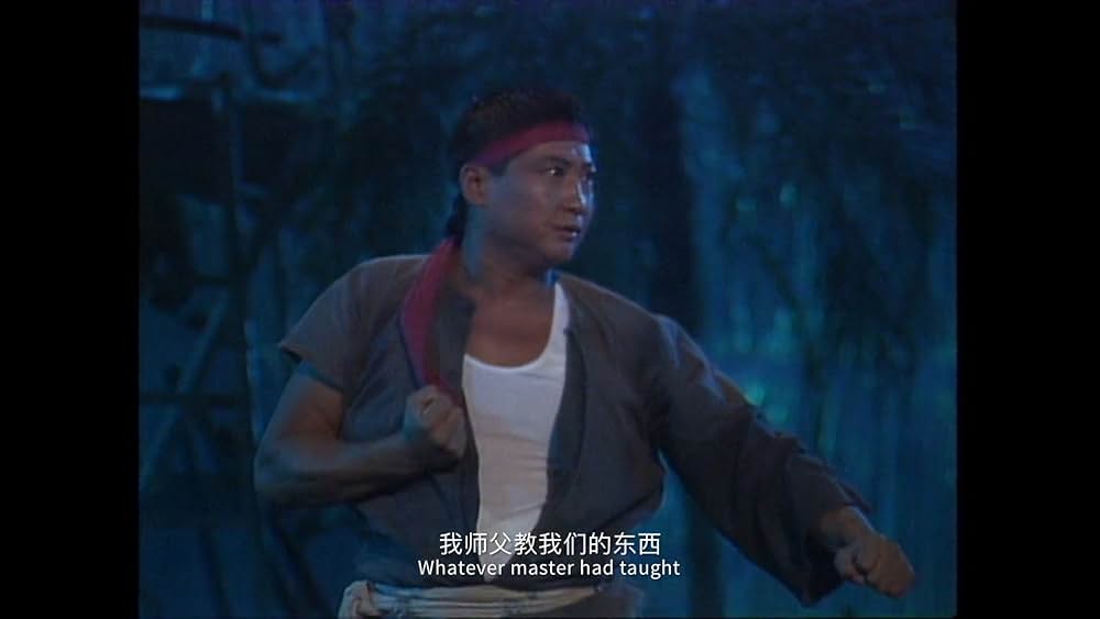 カンフースタントマン 龍虎武師の画像