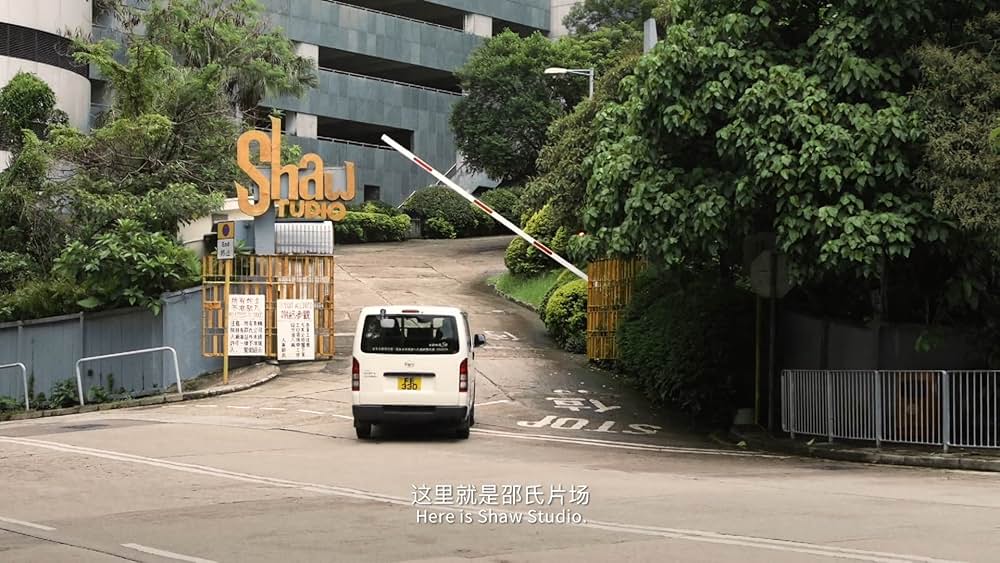 カンフースタントマン 龍虎武師の画像