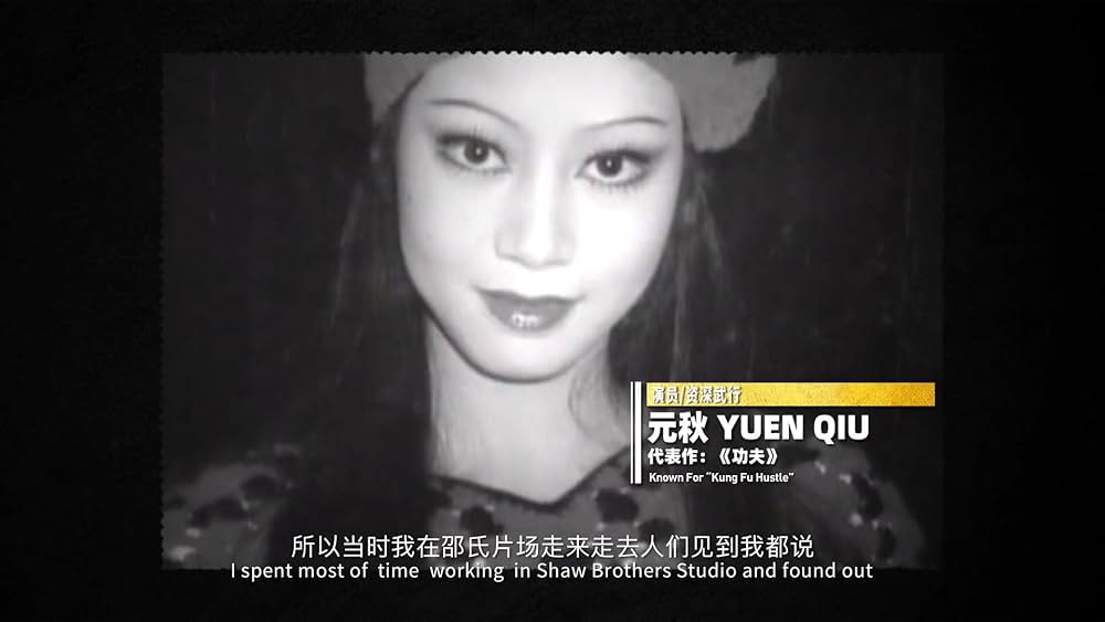 カンフースタントマン 龍虎武師の画像