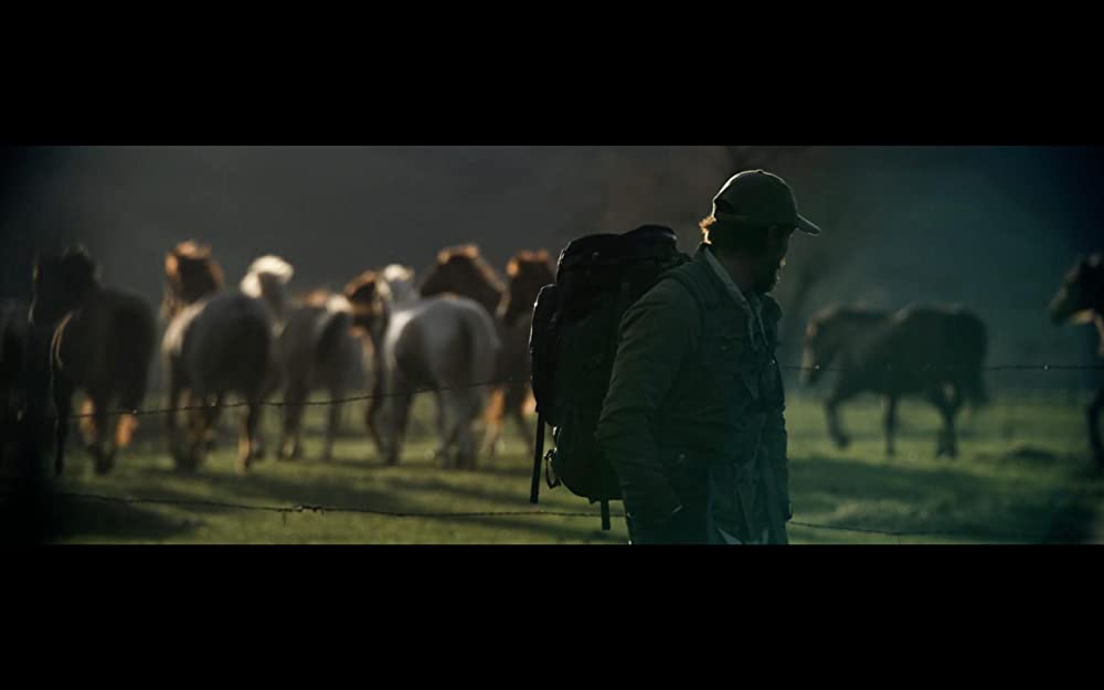 ジョー・ベル ～心の旅～の画像