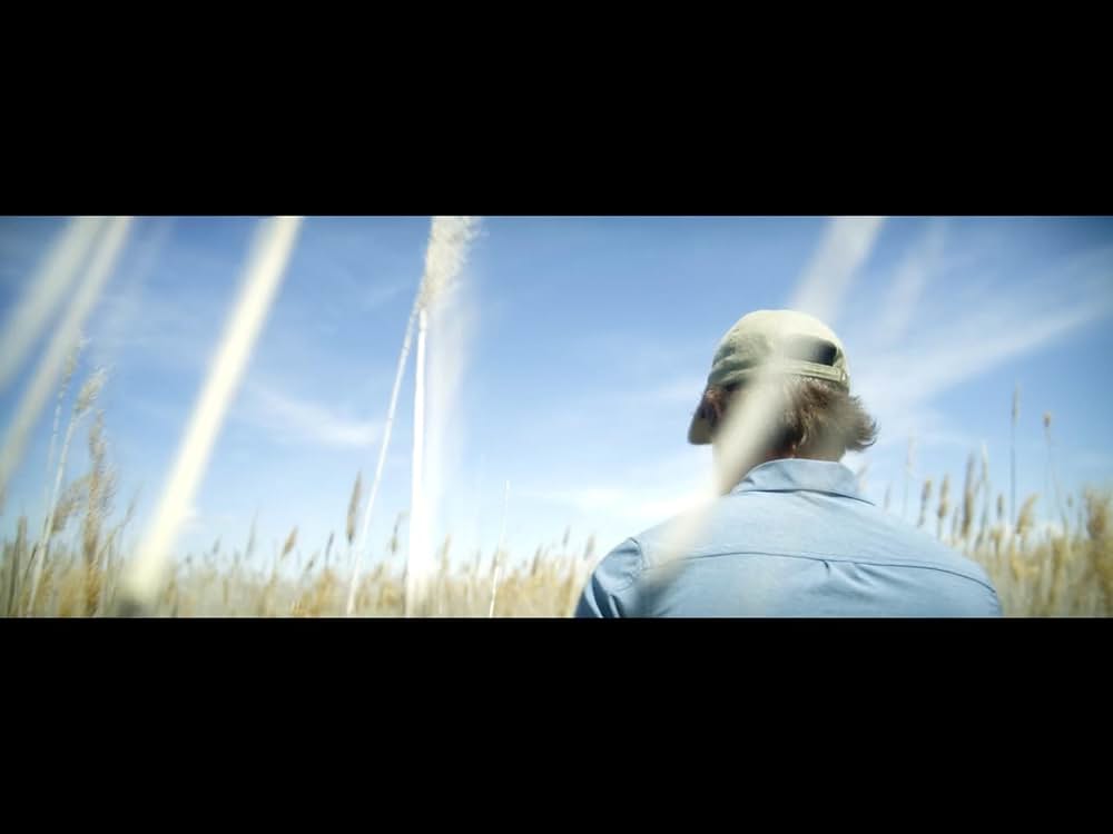 ジョー・ベル ～心の旅～の画像