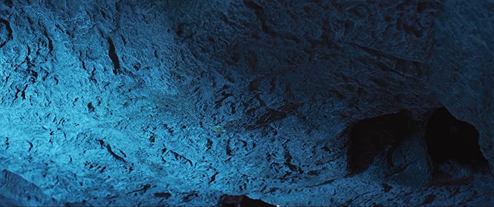 シーワールドZの画像