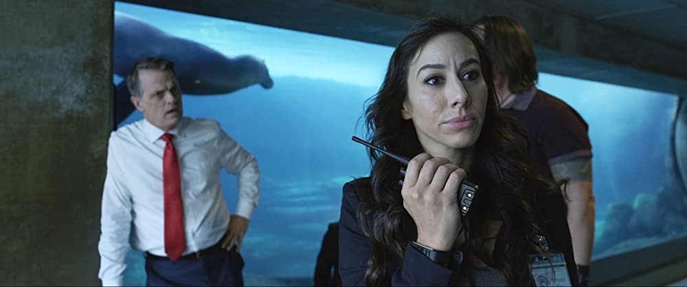 シーワールドZの画像