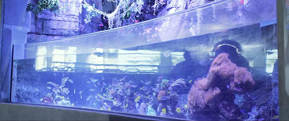 シーワールドZの画像