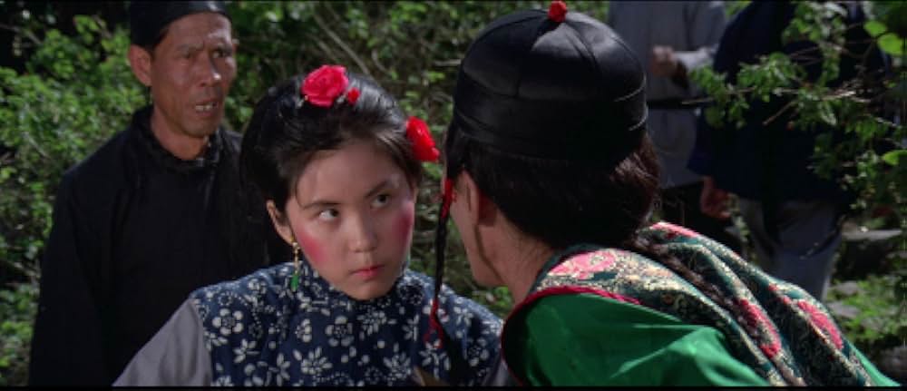 燃えよデブゴン／豚（トン）だカップル拳の画像