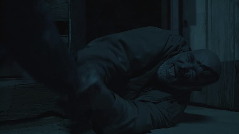 ヴェロキラプトルの画像