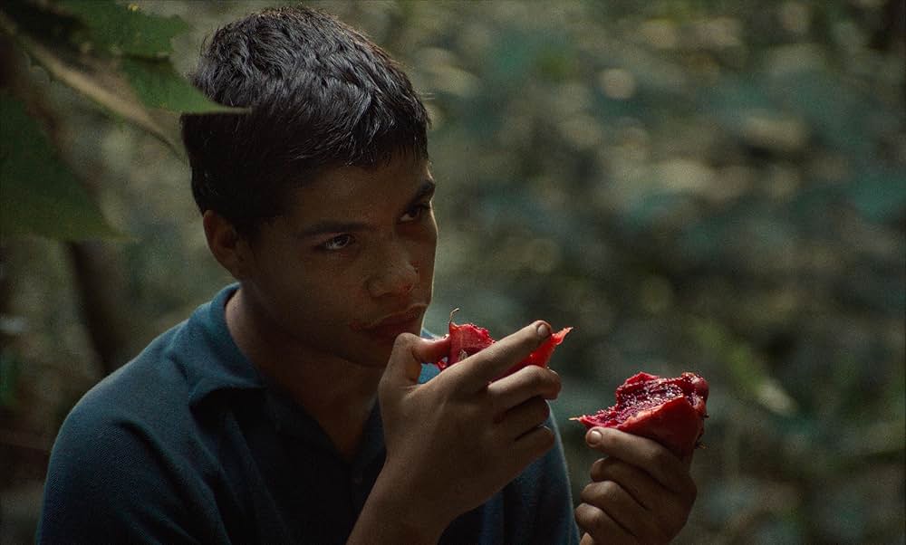 ラ・ハウリアの画像