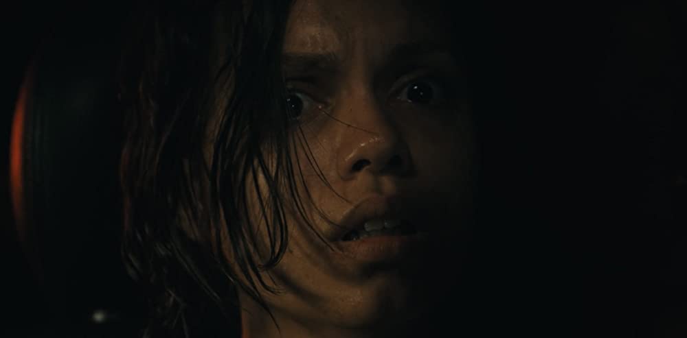 バーバリアンの画像