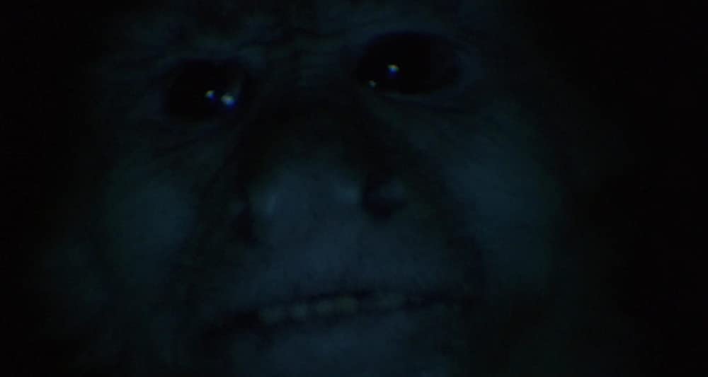 「ツイン・ピークス／ローラ・パーマー最期の7日間」の画像