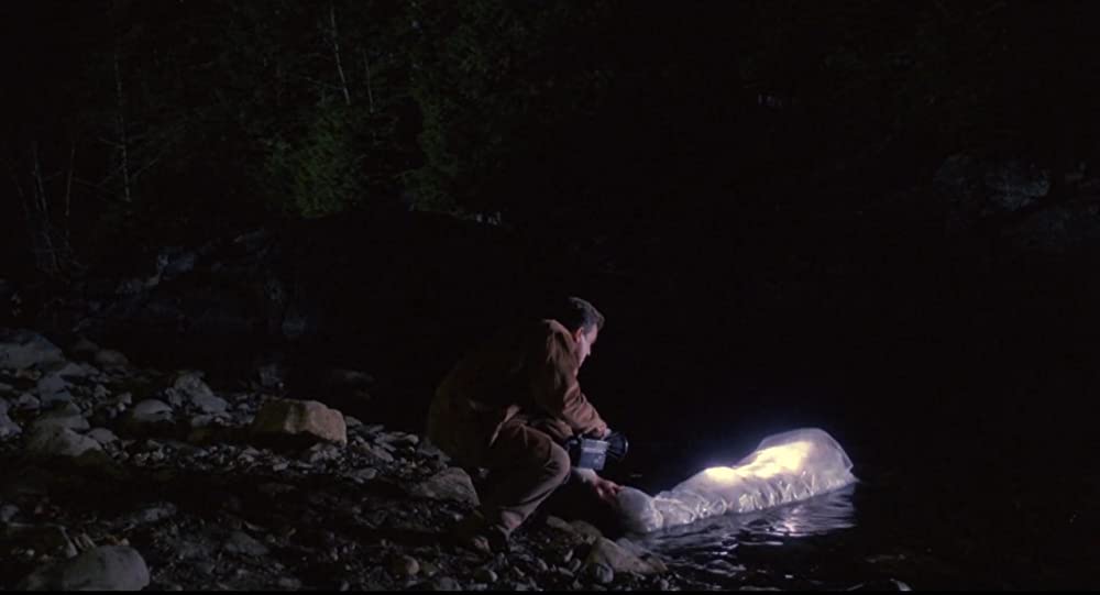 「ツイン・ピークス／ローラ・パーマー最期の7日間」レイ・ワイズの画像