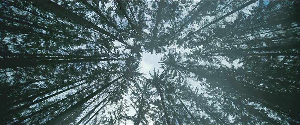 西部戦線異状なしの画像