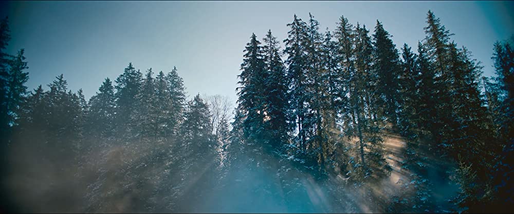 西部戦線異状なしの画像