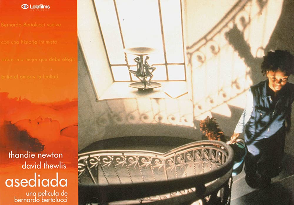 「シャンドライの恋」タンディ・ニュートンの画像