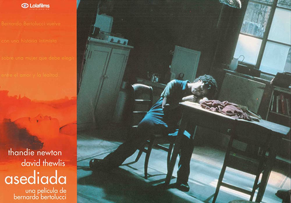 「シャンドライの恋」タンディ・ニュートンの画像