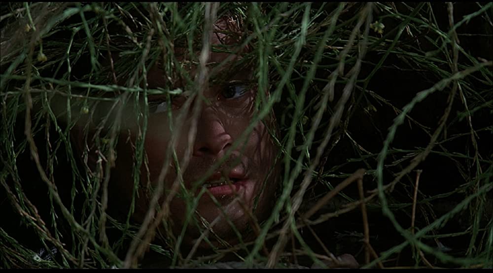 二十日鼠と人間の画像