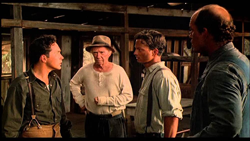 二十日鼠と人間の画像