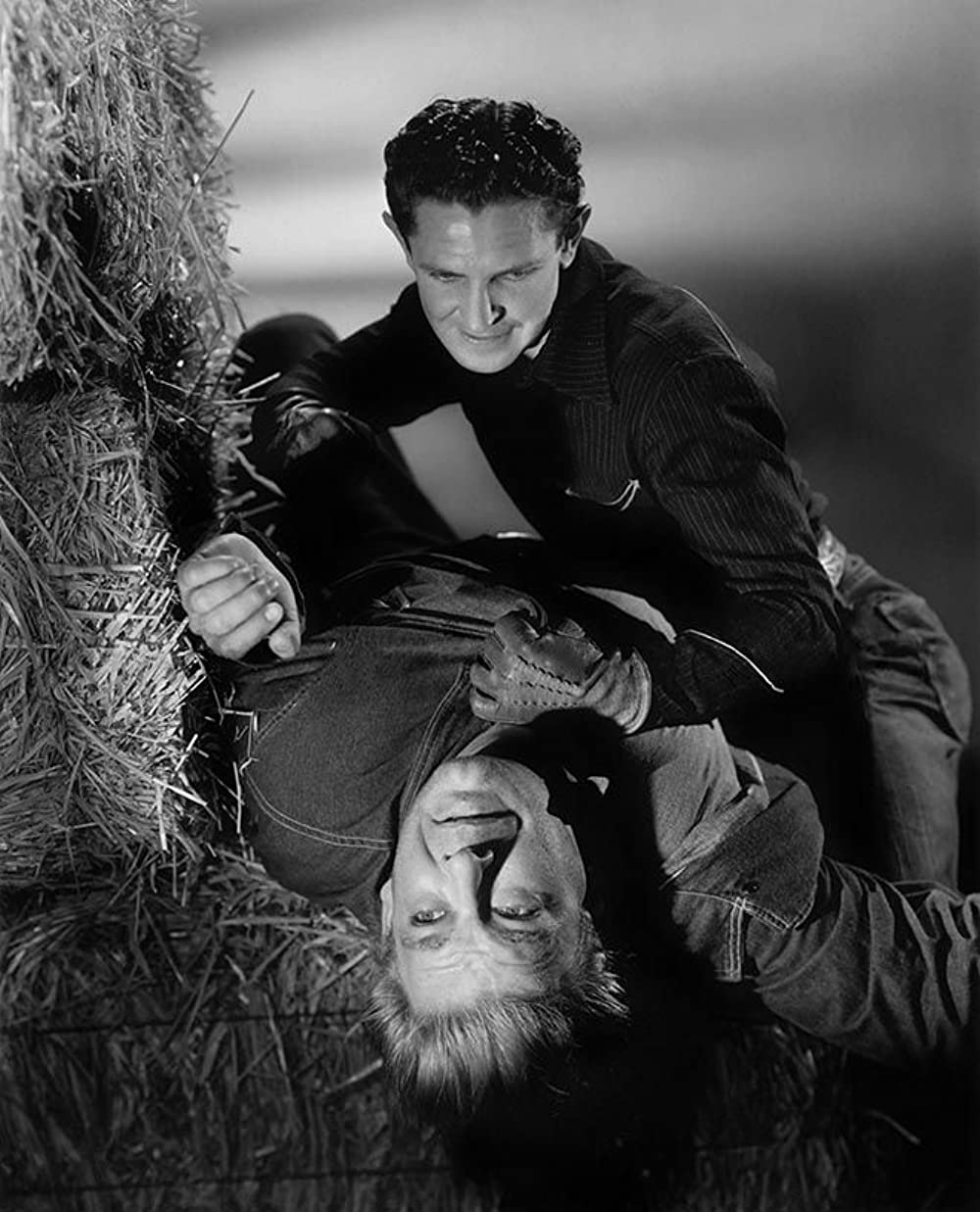 廿日鼠と人間の画像