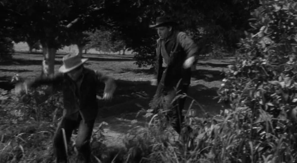 廿日鼠と人間の画像