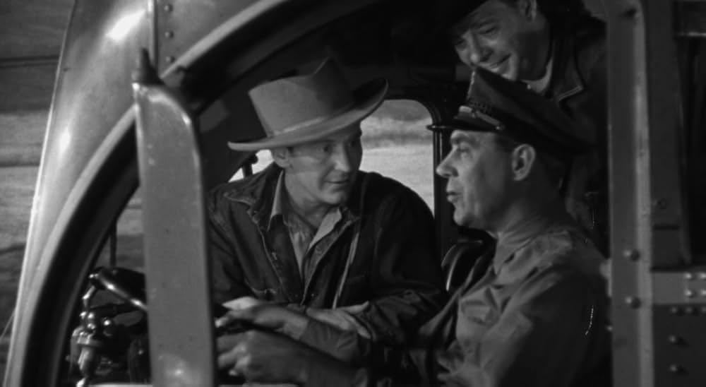 廿日鼠と人間の画像