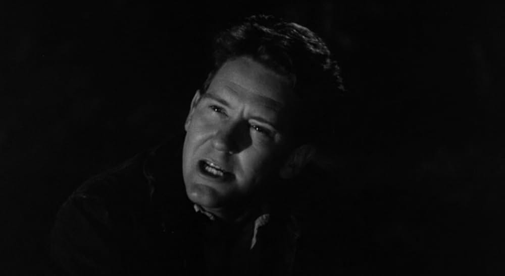 廿日鼠と人間の画像