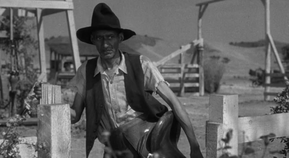 廿日鼠と人間の画像