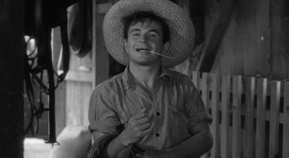 廿日鼠と人間の画像