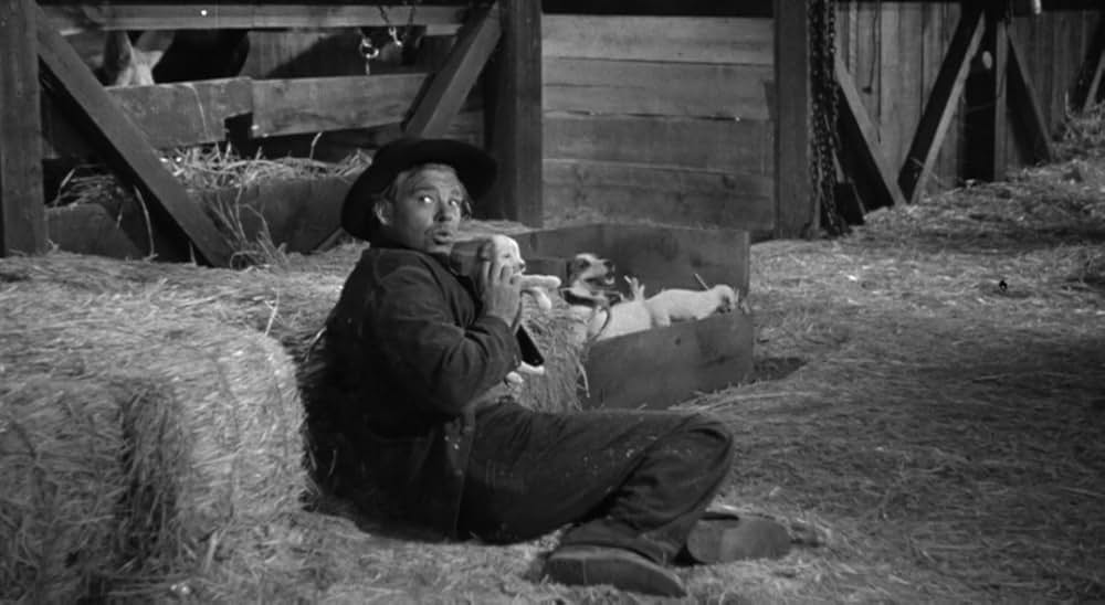 廿日鼠と人間の画像