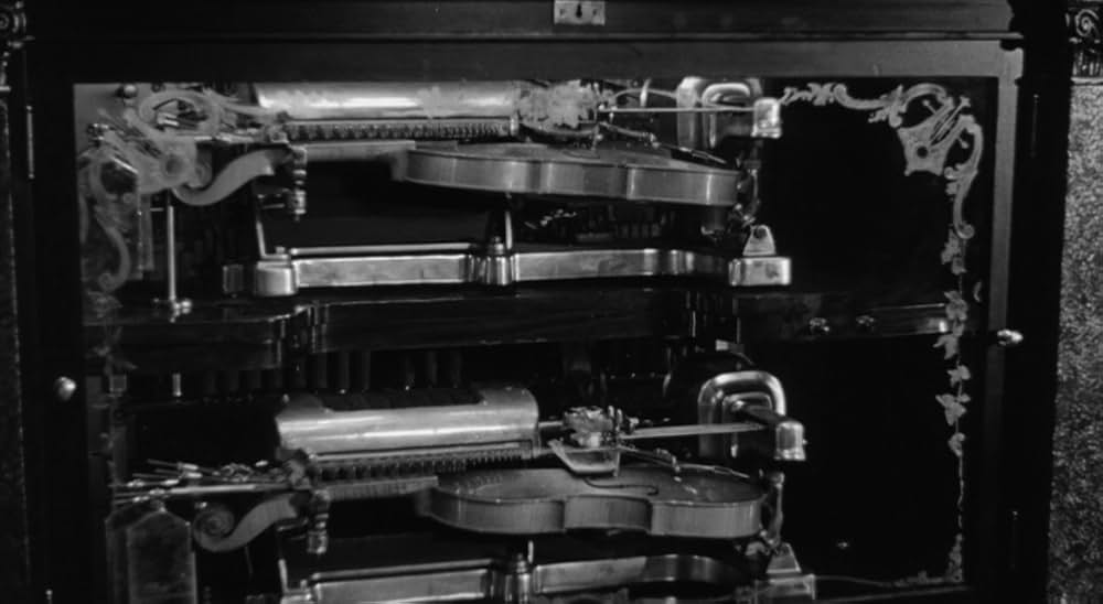 廿日鼠と人間の画像