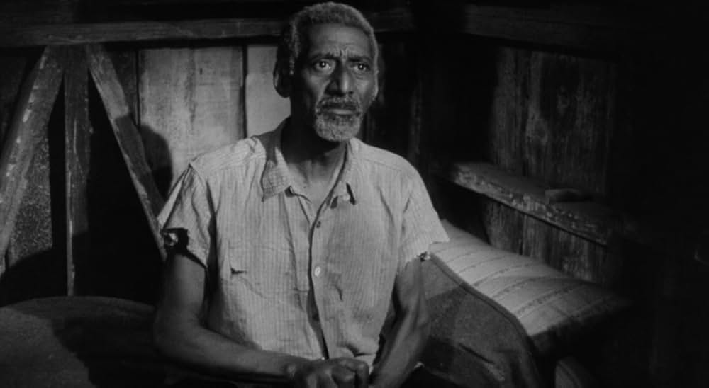 廿日鼠と人間の画像