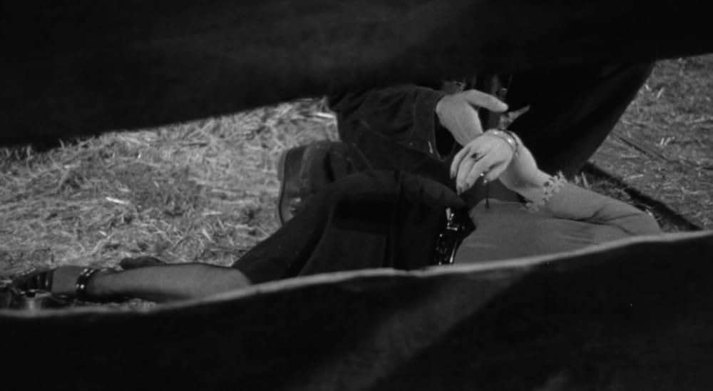 廿日鼠と人間の画像