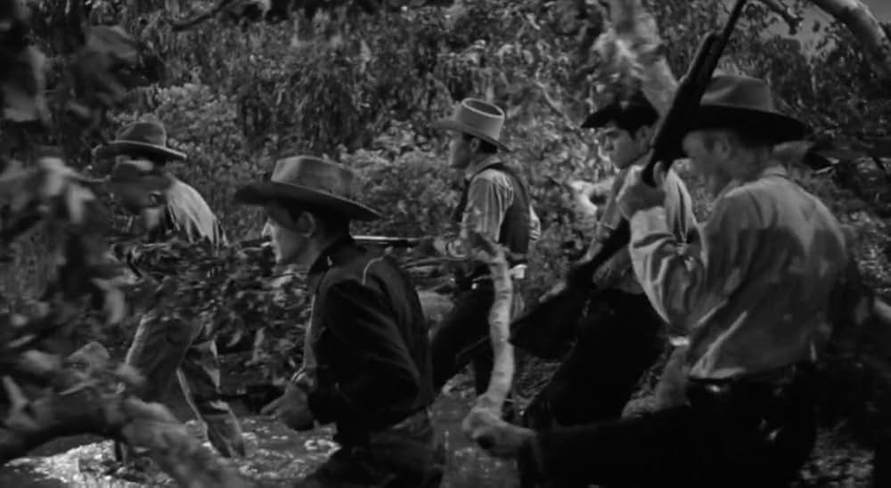 廿日鼠と人間の画像