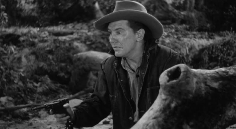 廿日鼠と人間の画像