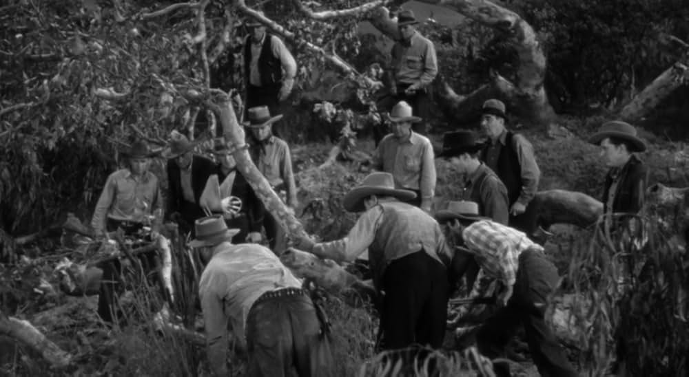 廿日鼠と人間の画像