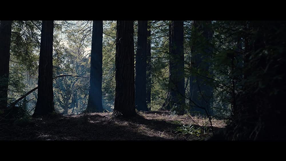 M3GAN／ミーガンの画像