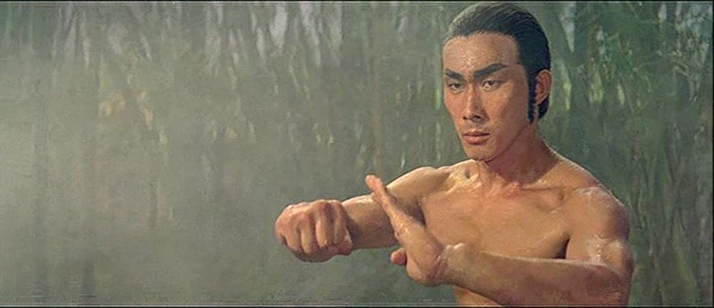 燃えよデブゴン10／友情拳の画像