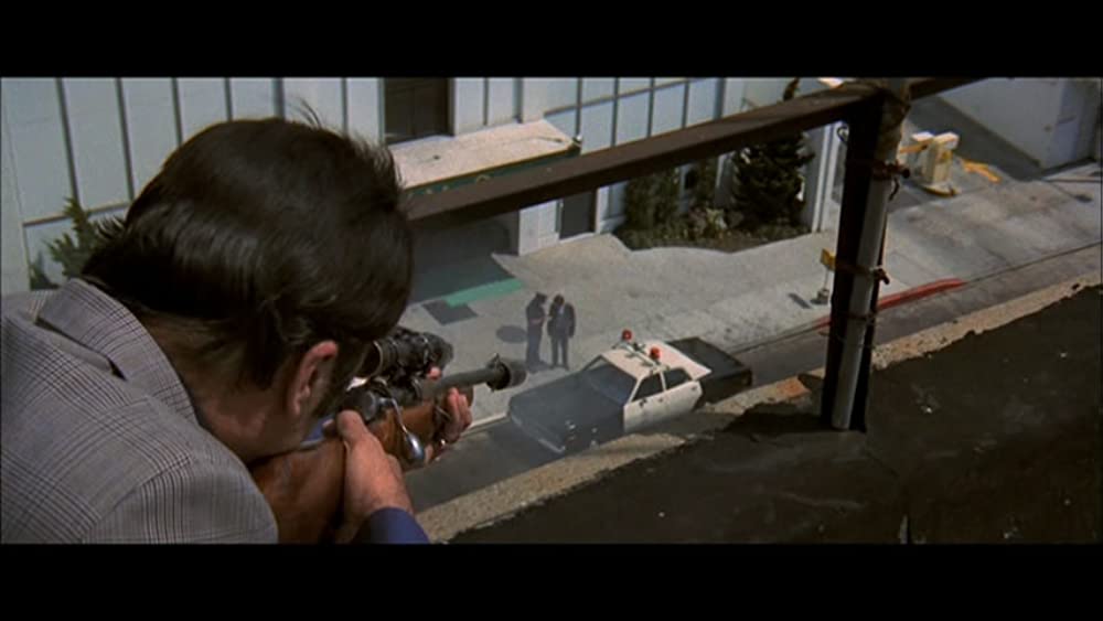 ゼブラ軍団の画像