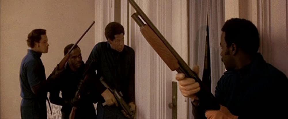 ゼブラ軍団の画像