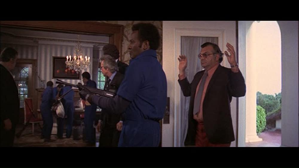 ゼブラ軍団の画像