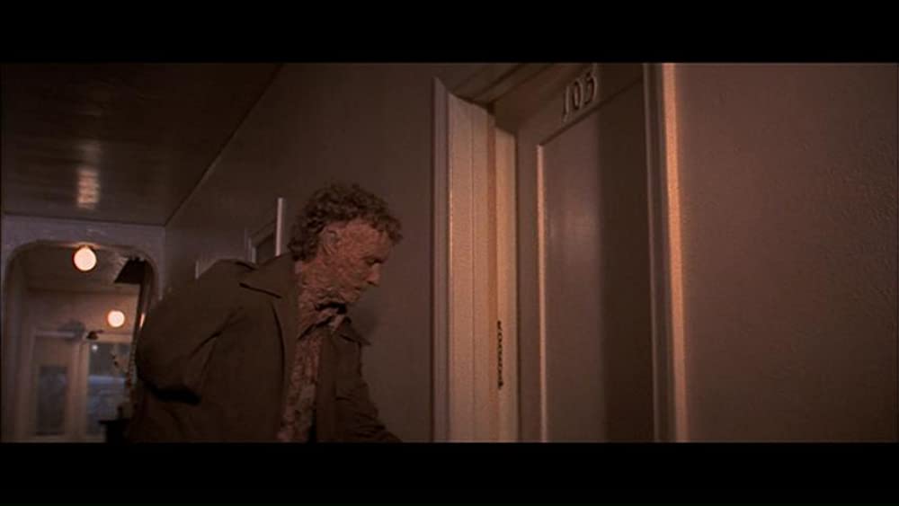 ゼブラ軍団の画像