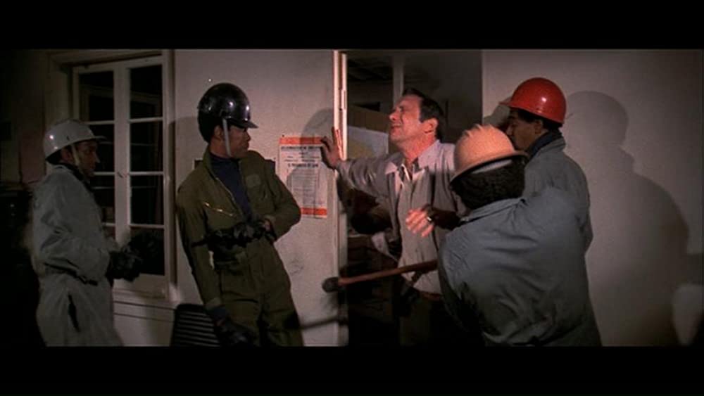 ゼブラ軍団の画像