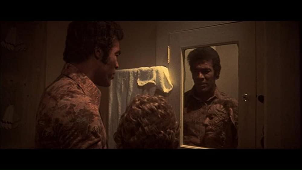 ゼブラ軍団の画像