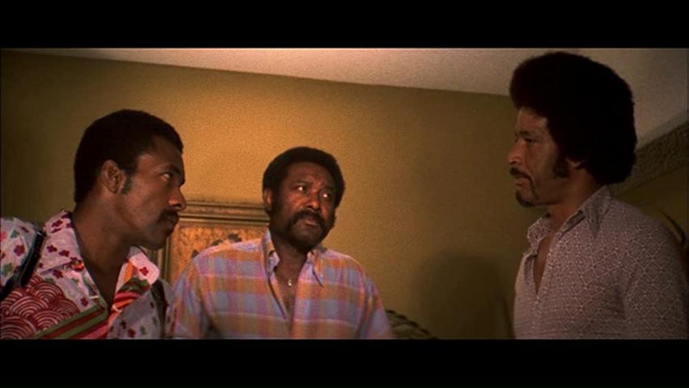 ゼブラ軍団の画像