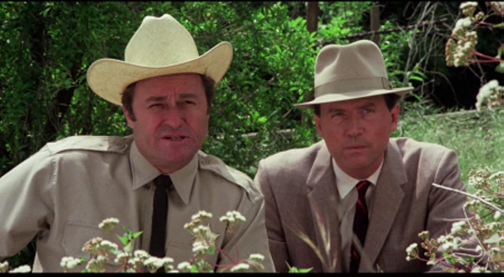 クレイジー・ママの画像