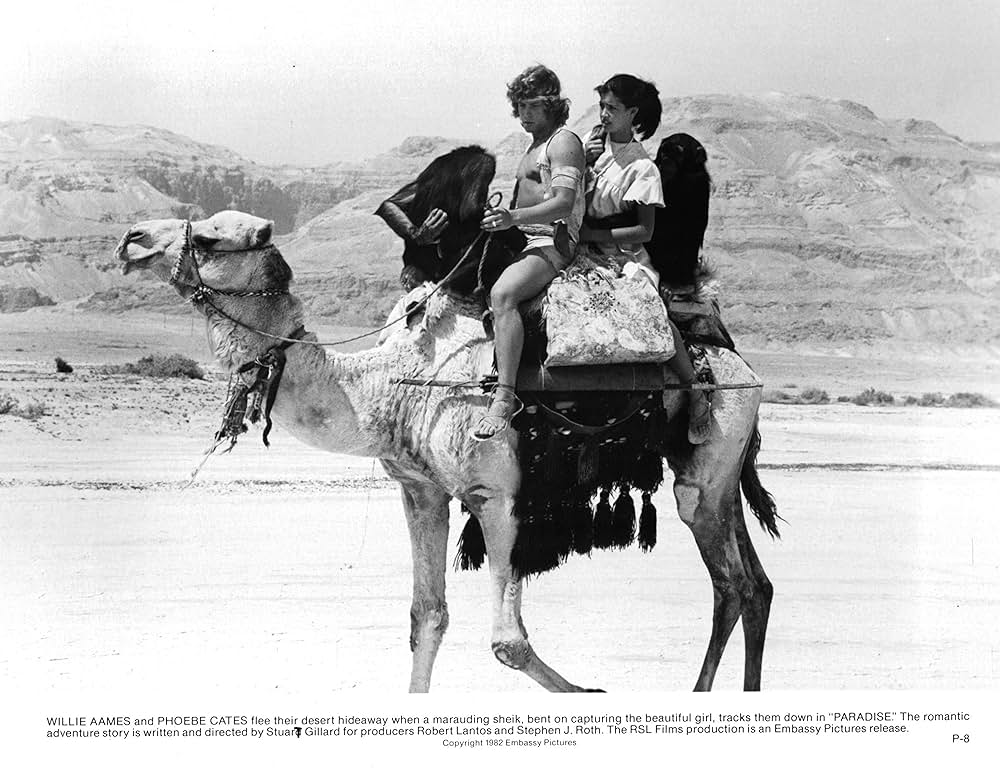 パラダイスの画像